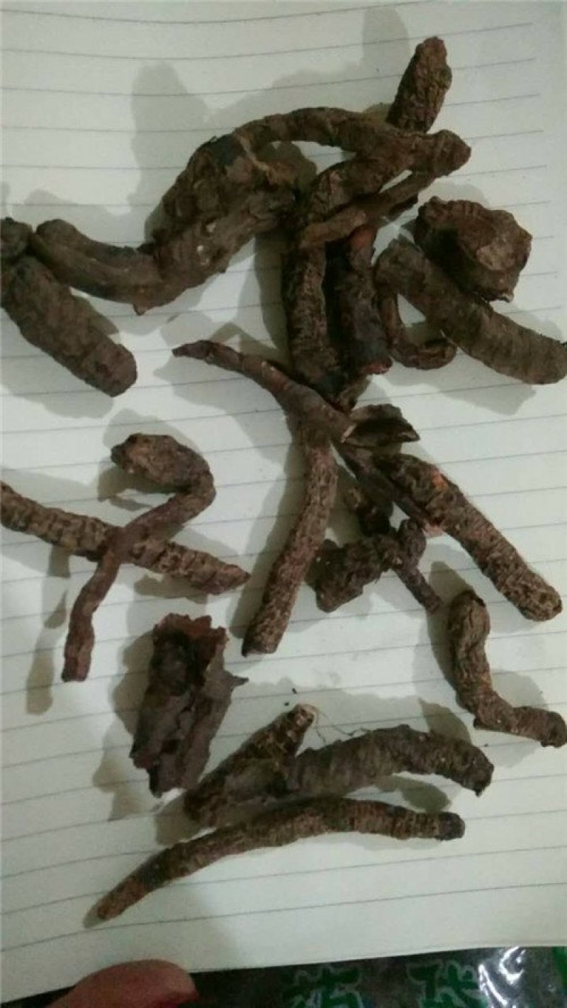 盘龙七