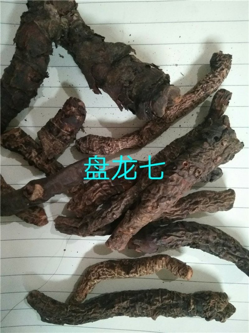 盘龙七