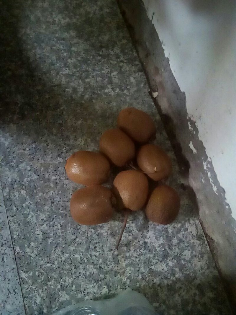 徐查眉糊桃