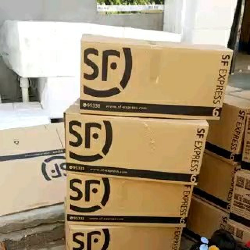 五味子苗五味子2年苗苗圃直供品质保证提供技术