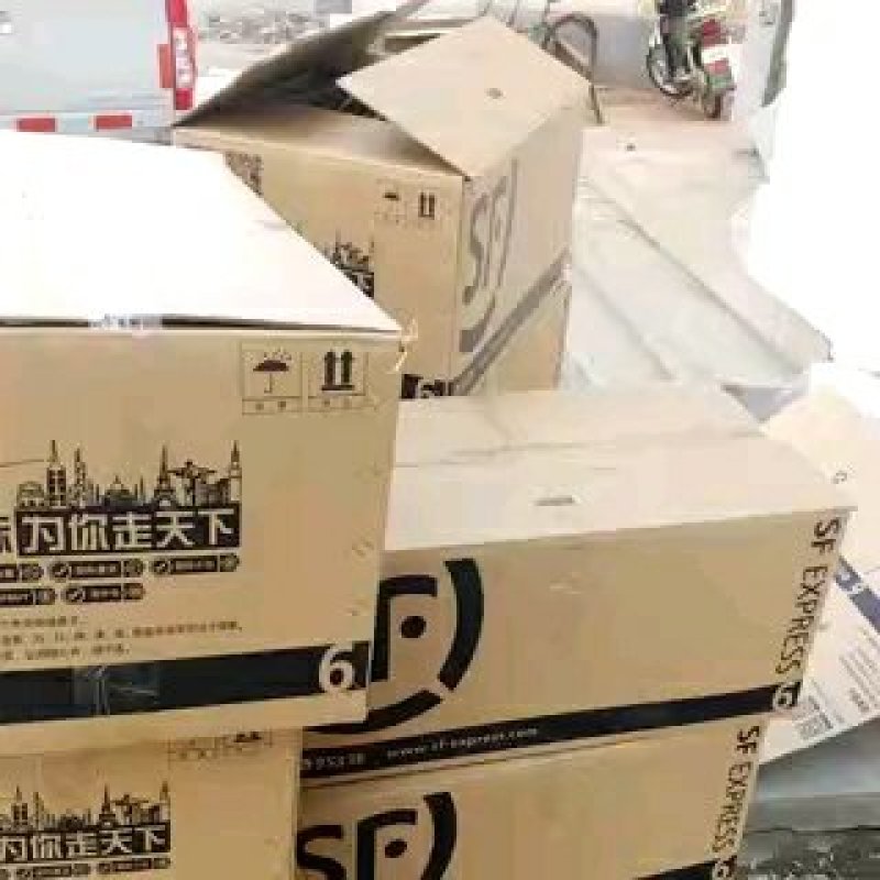 五味子苗五味子2年苗苗圃直供品质保证提供技术
