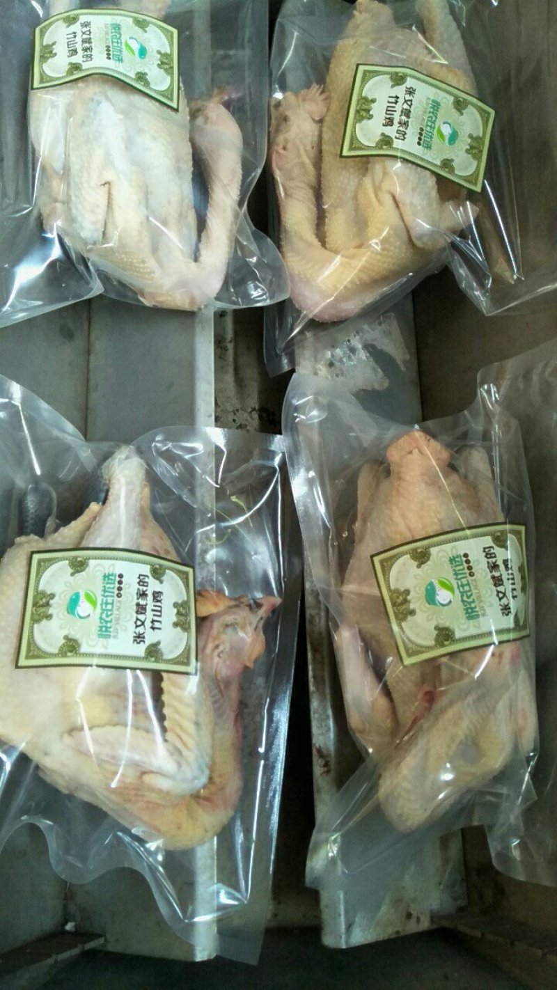 土鸡放养
