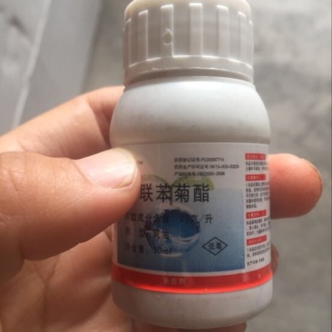 杀虫剂