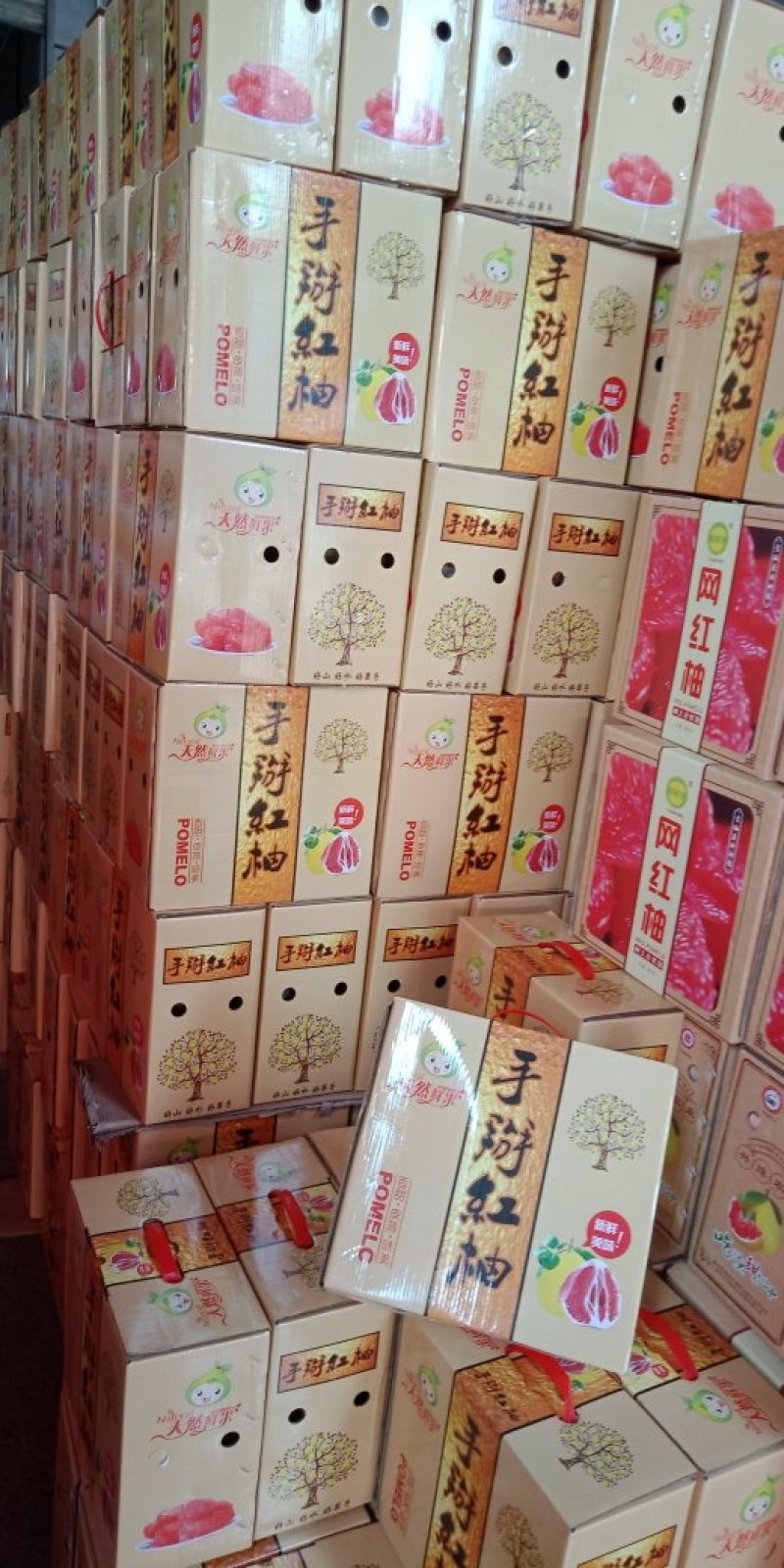 广西南宁红心柚子九斤礼盒装一件代发包邮