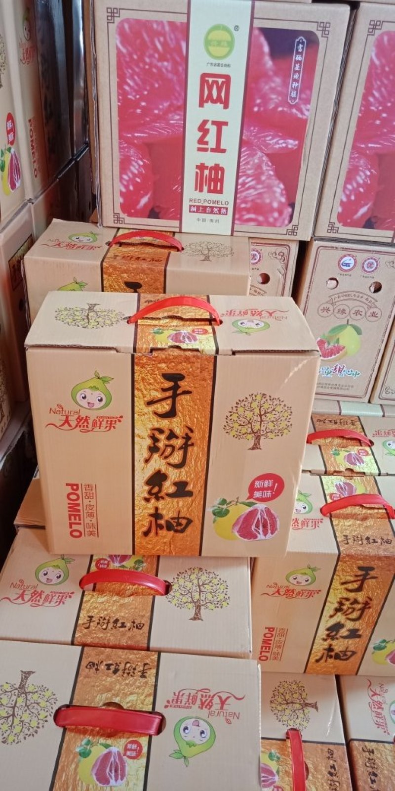 广西南宁红心柚子九斤礼盒装一件代发包邮