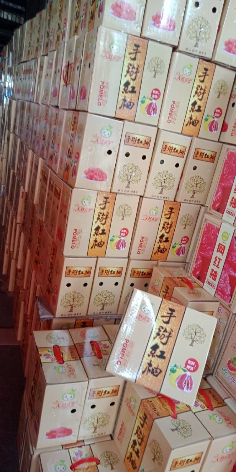 广西南宁红心柚子九斤礼盒装一件代发包邮
