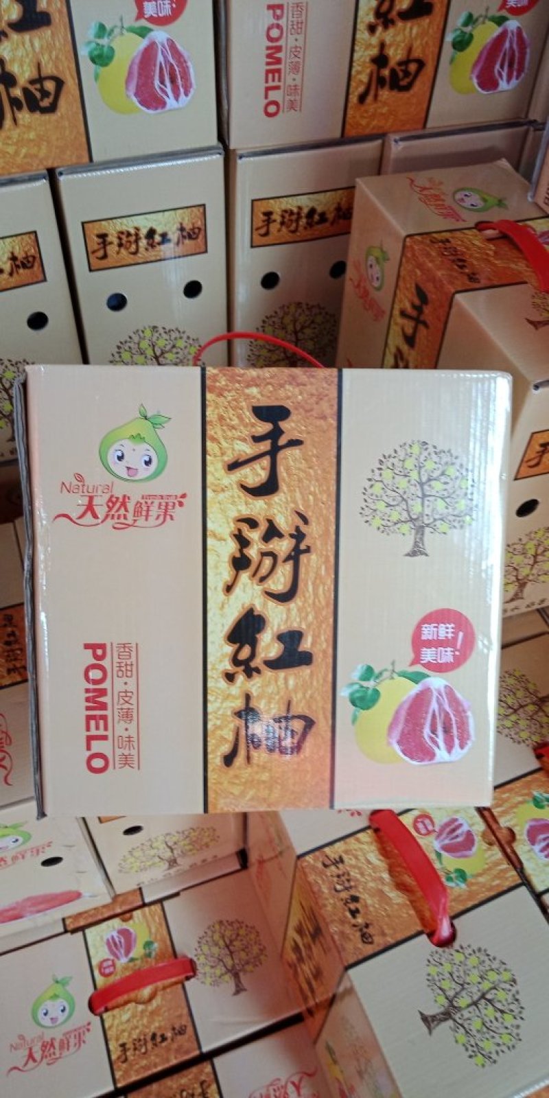 广西南宁红心柚子九斤礼盒装一件代发包邮