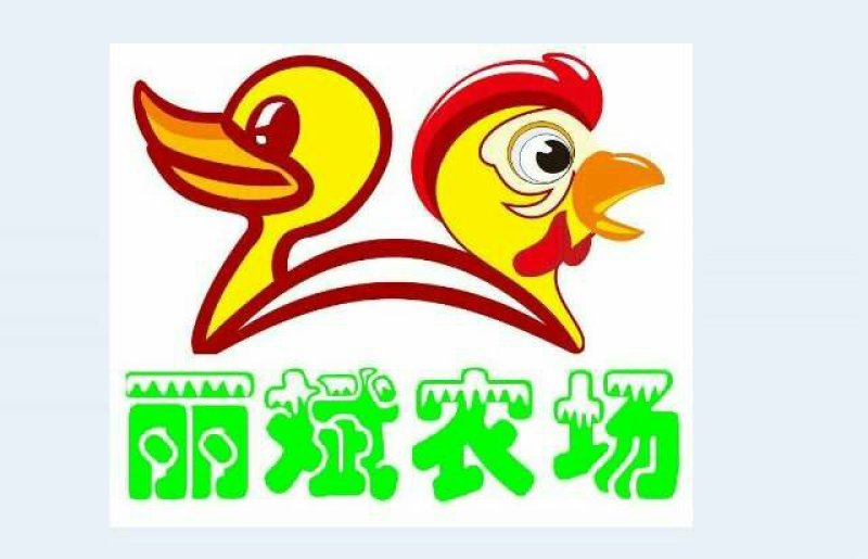 清水鸭