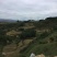 昭通市昭阳区200亩旱地耕地出租