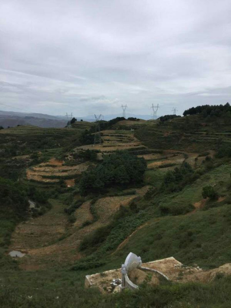 昭通市昭阳区200亩旱地耕地出租