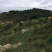 昭通市昭阳区200亩旱地耕地出租