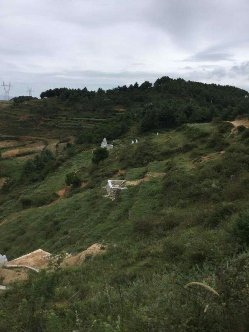 昭通市昭阳区200亩旱地耕地出租