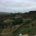昭通市昭阳区200亩旱地耕地出租