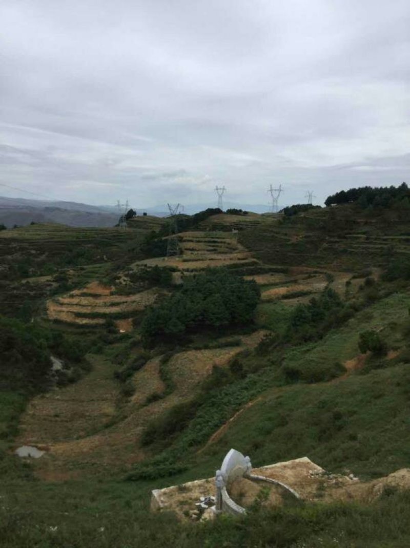 昭通市昭阳区200亩旱地耕地出租