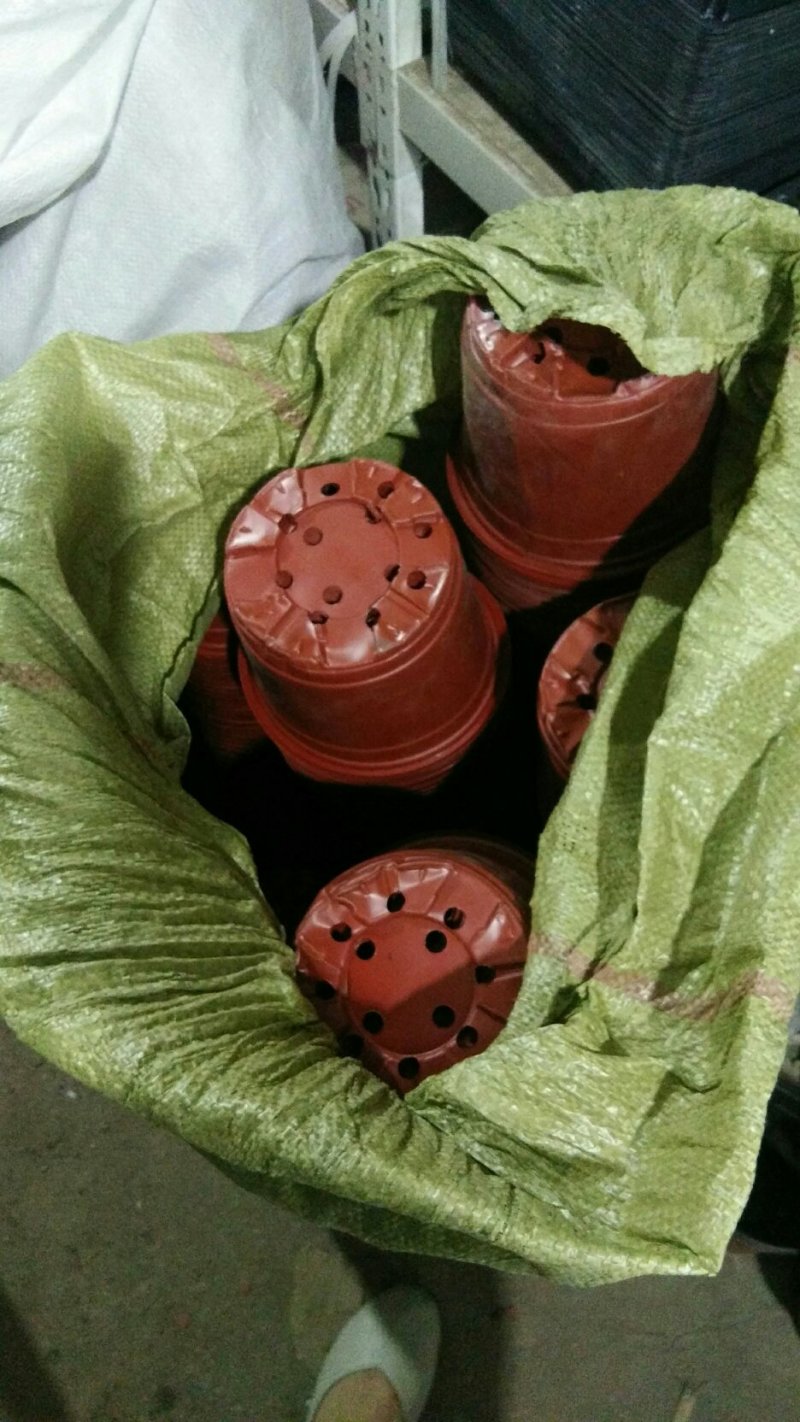 双色花盒，双色杯，摔不坏，耐用买双色色花盆营养全国包邮
