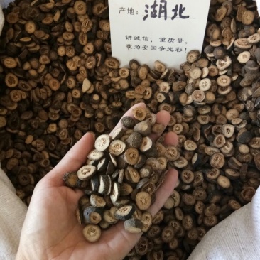 青皮
