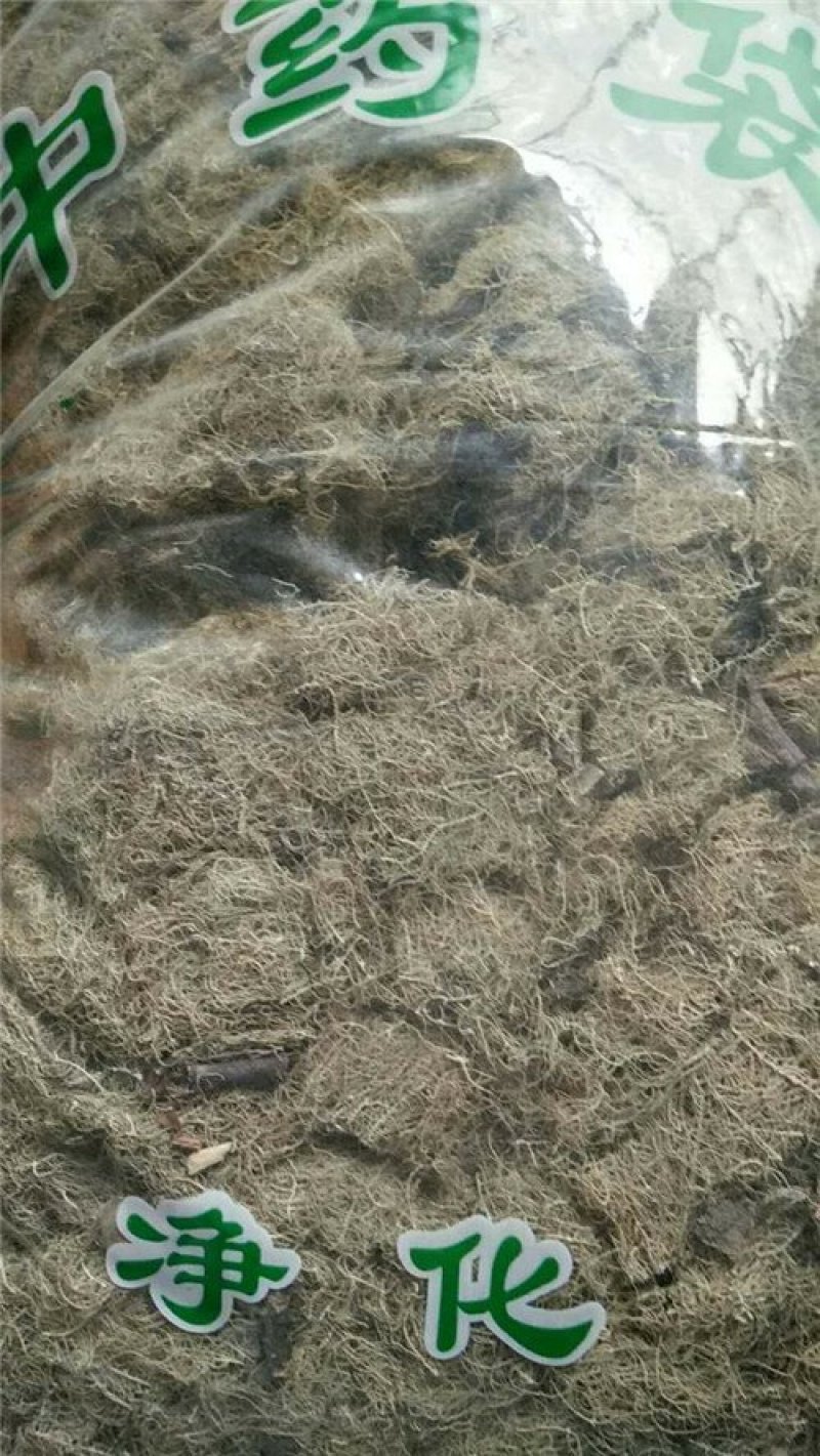松萝龙须草老君须