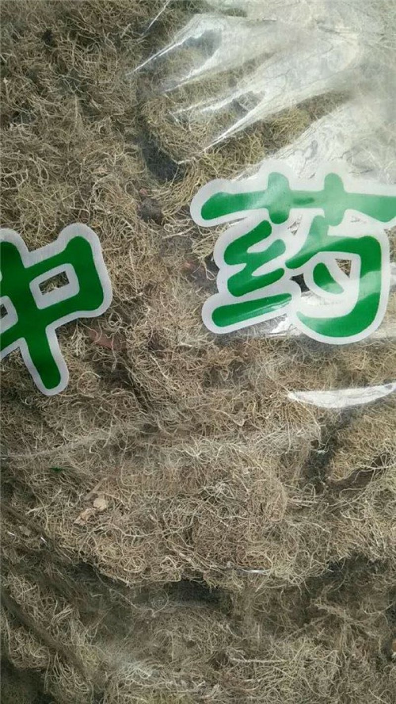 松萝龙须草老君须