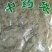 松萝龙须草老君须