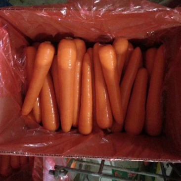 胡萝卜