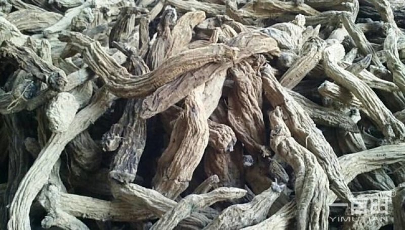 湖北省蕲春百草道地中药材专业高含量去芦头条子货大统玄参