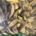 土黄莲26元一公斤