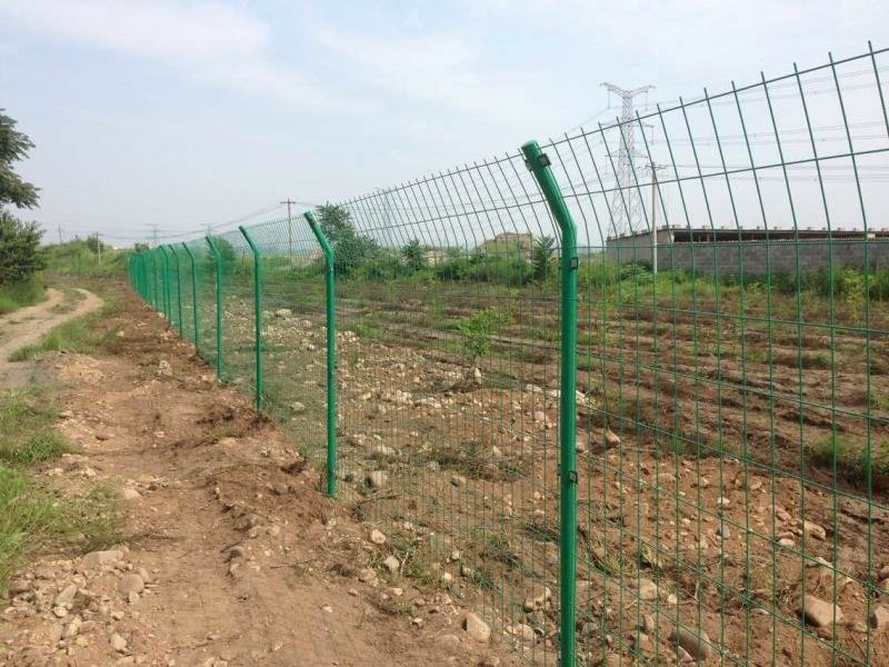 荷兰网果园围栏养殖网养鸡施工工地临时防护