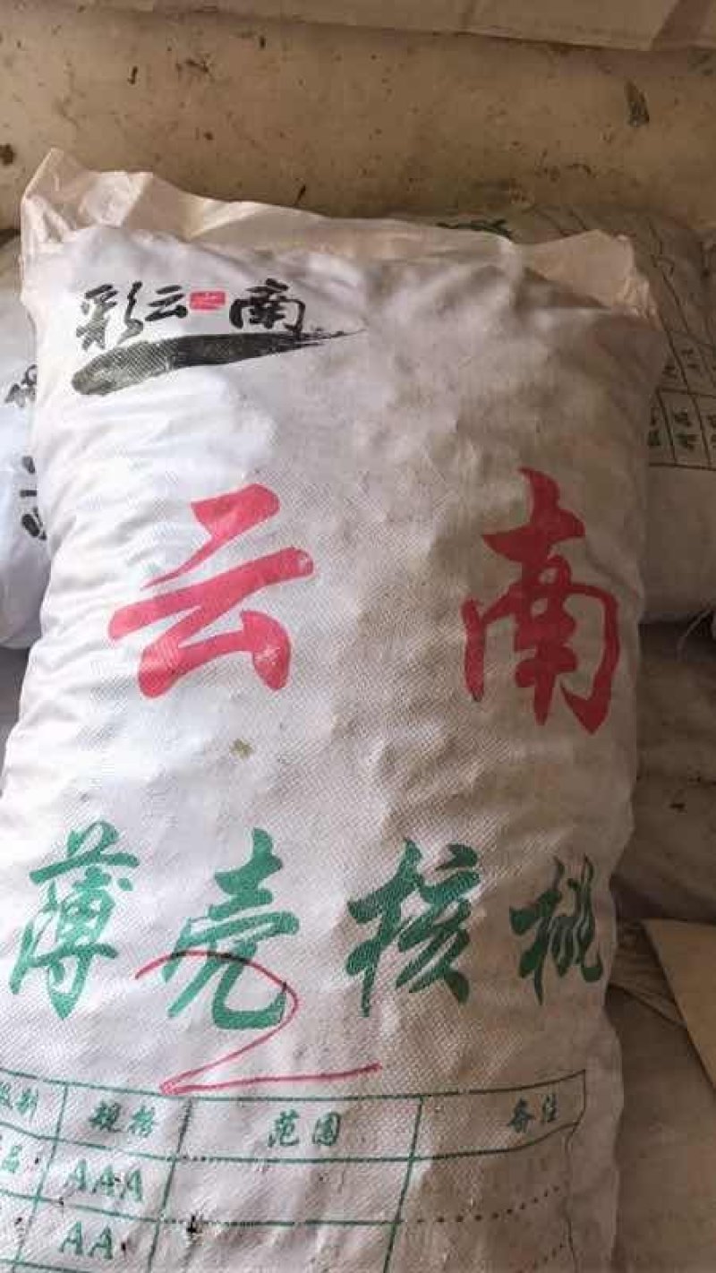 核桃云南核桃薄皮核桃