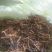 冬虫夏草，生在高海拔地区，天气极其寒冷，每年采挖一次