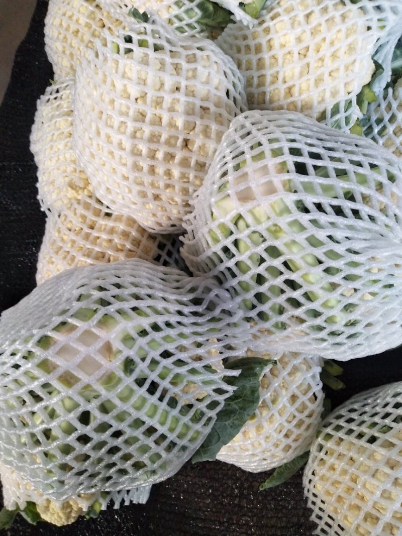 菜花1斤适中乳白