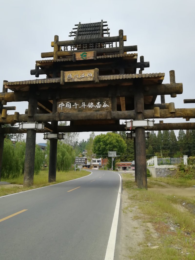 白果