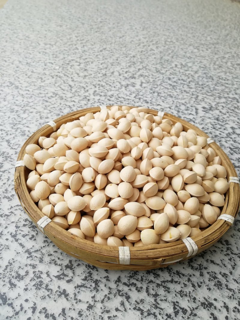 白果