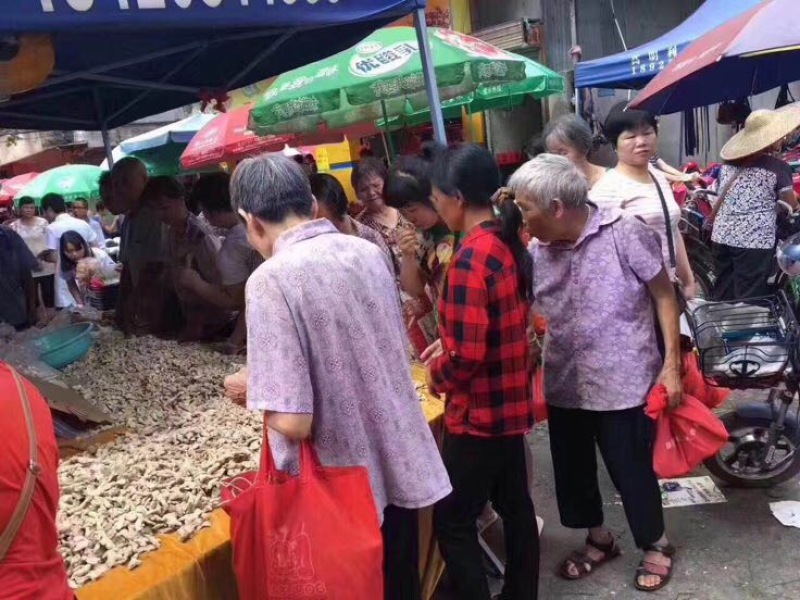 干姜小黄姜