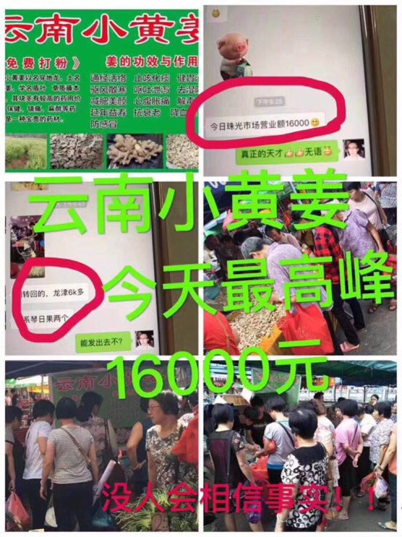 干姜小黄姜
