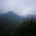 竹笋