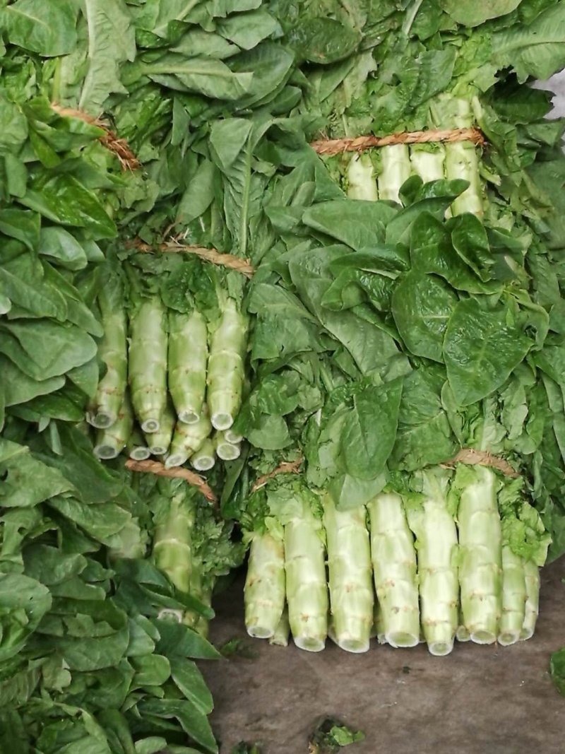 兰陵县同兴蔬菜市场，三青莴笋大量上市中，