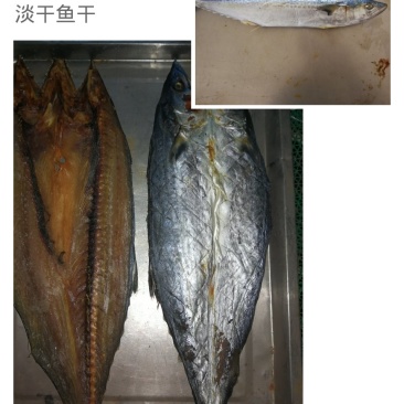 鲅鱼干