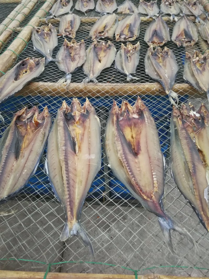 鲅鱼干