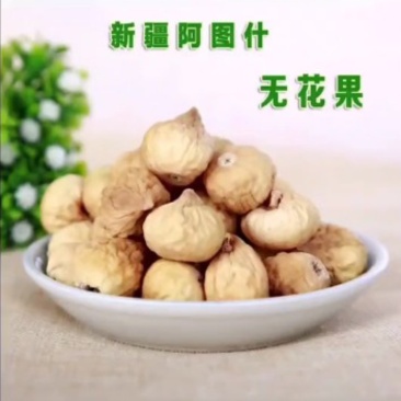 新疆无花果