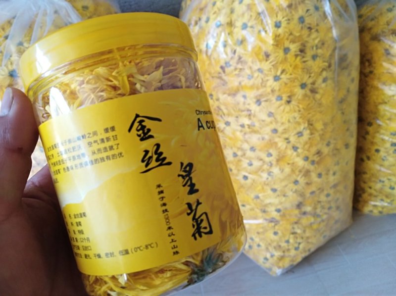 金丝皇菊