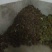 麻城板栗炒栗种特选