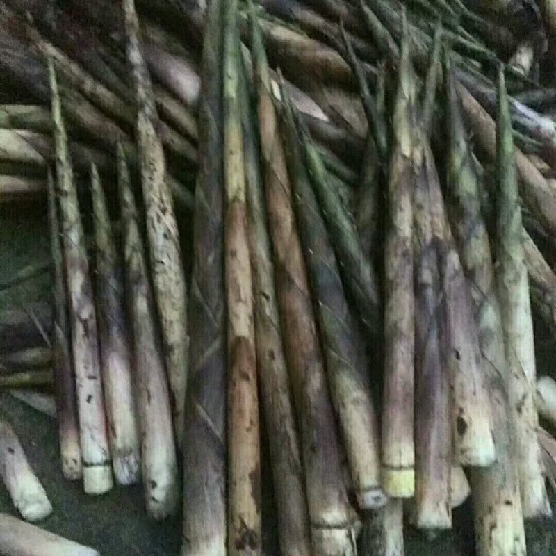 高山竹笋，新鲜的干的都有