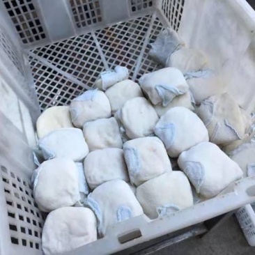 金和布仔豆干