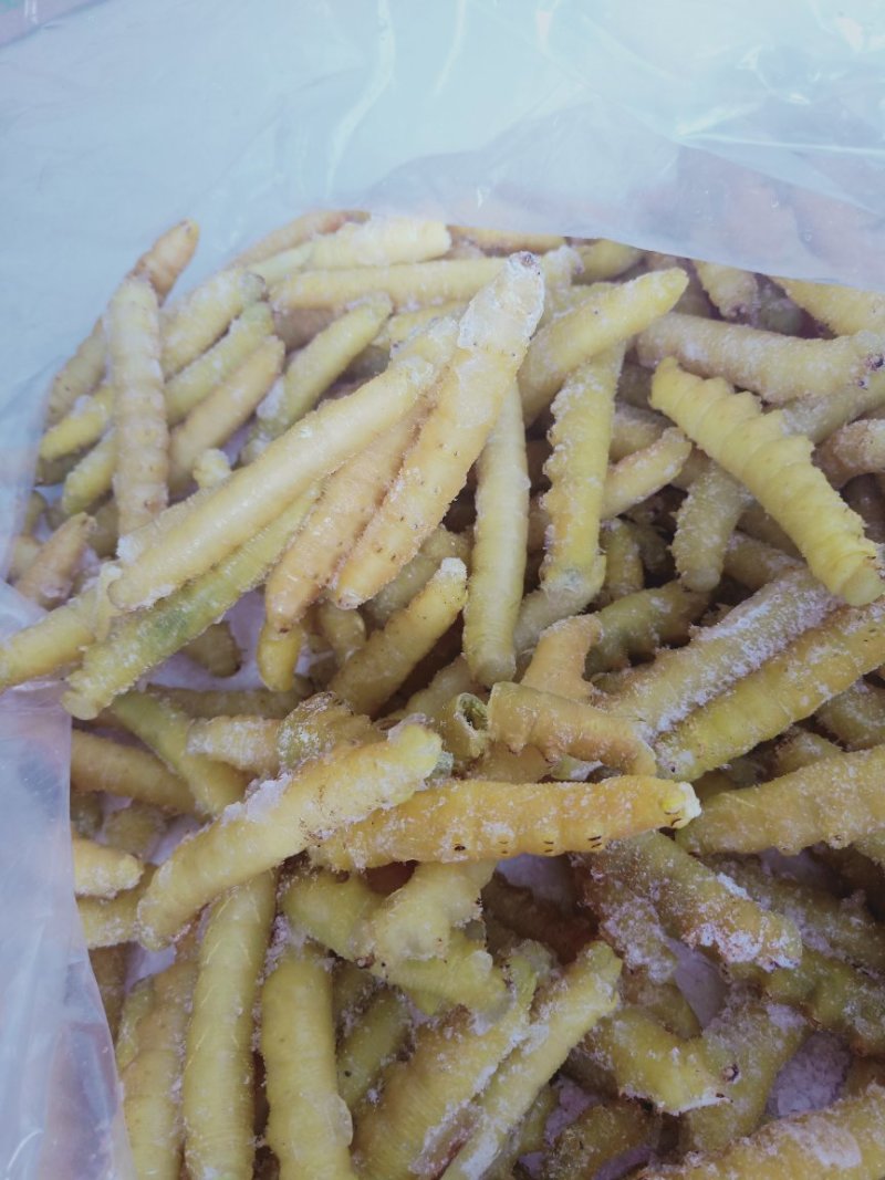 豆虫，今年新货，单体熟冻，散装，个头均匀颜色浅黄，肉质饱