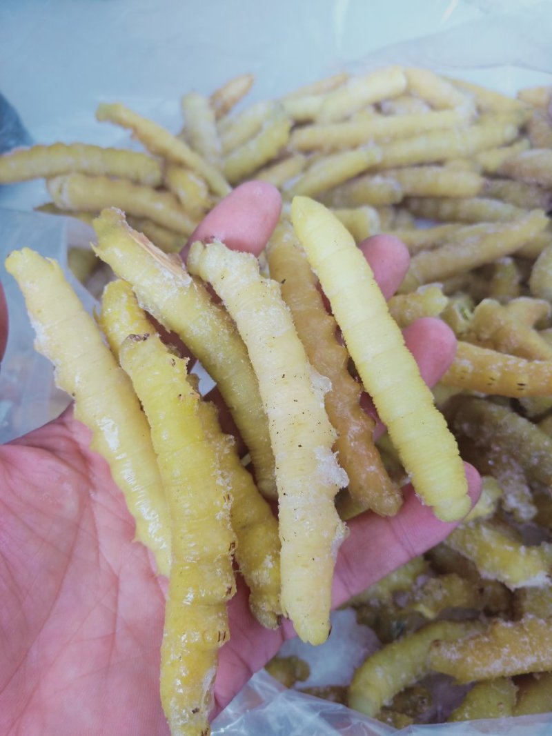 豆虫，今年新货，单体熟冻，散装，个头均匀颜色浅黄，肉质饱