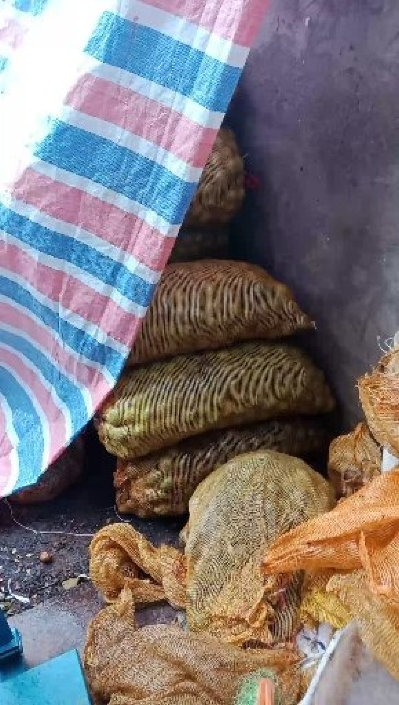 大凉山特色核桃仁