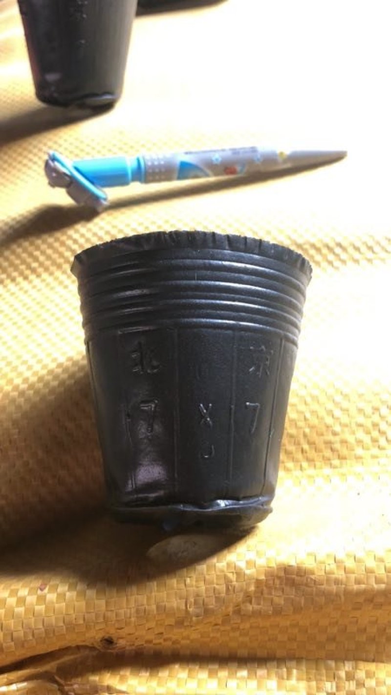 育苗袋无纺布轻基质容器杯营养袋种植袋营养杯