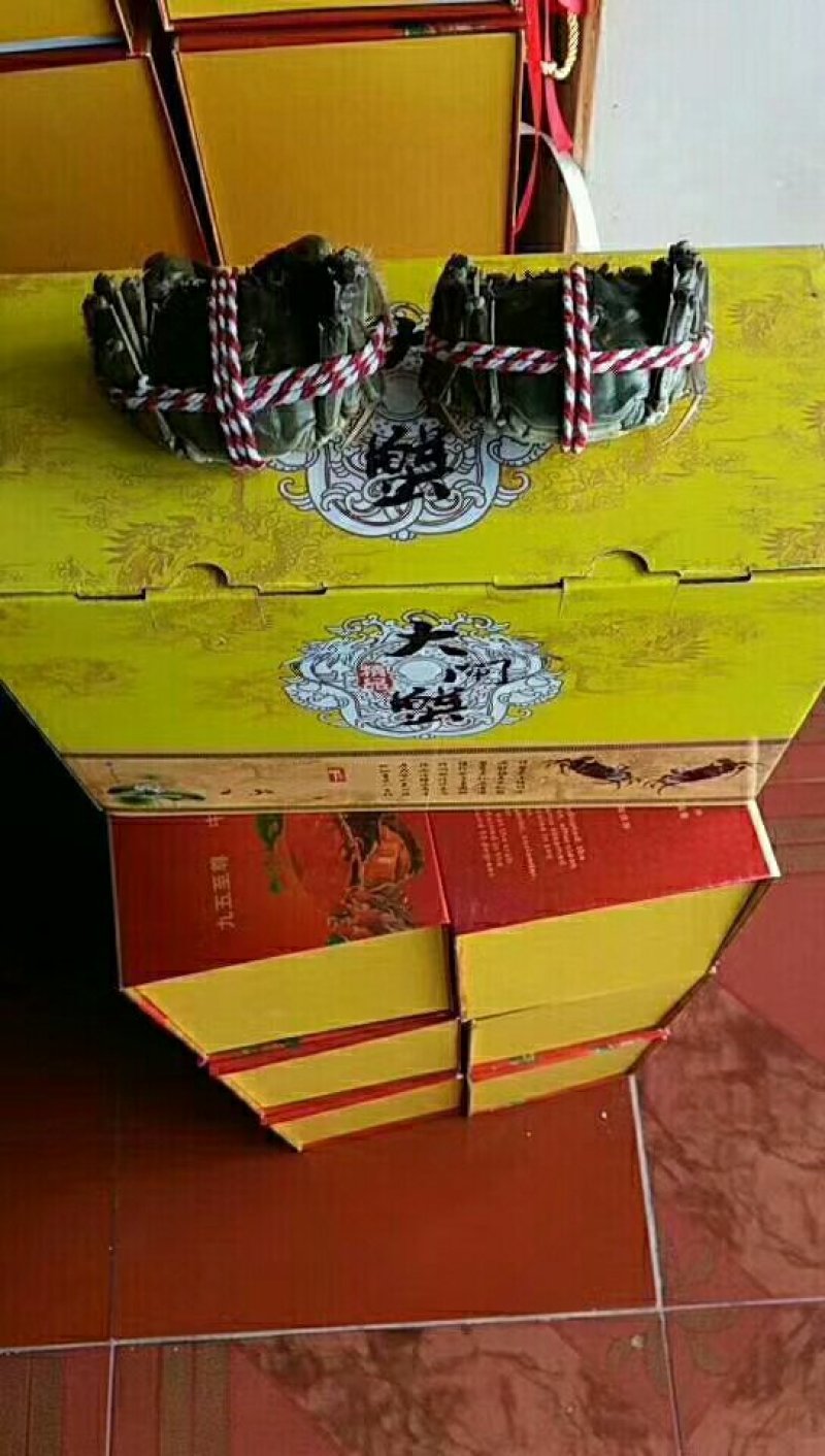 固城湖大闸蟹