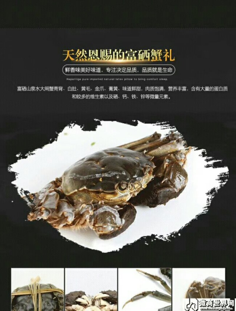 固城湖大闸蟹