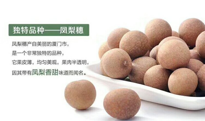 桂圆